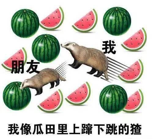分享吃瓜犯罪吗,揭秘分享吃瓜可能涉及的犯罪风险