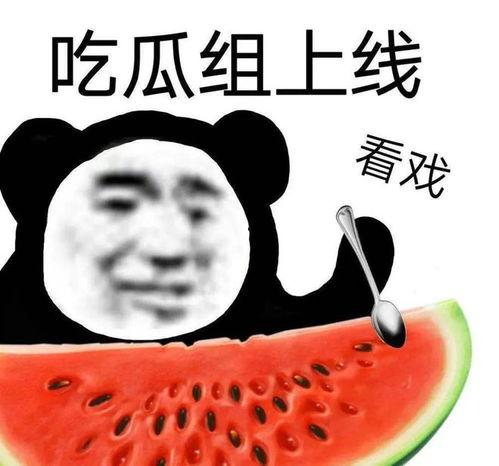 吃瓜年纪,揭秘娱乐圈那些年我们共同见证的精彩瞬间