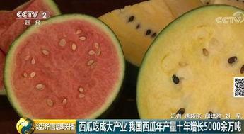 全球吃瓜会,揭秘网络时代的全民娱乐盛宴
