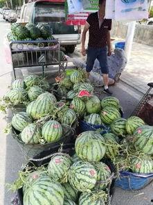 椒江吃瓜事件视频最新,视频揭露惊人真相，网友热议不断