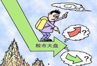 散户暴走吃瓜,揭秘股市风云变幻