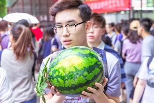 各大校园免费吃瓜,免费吃瓜活动盘点