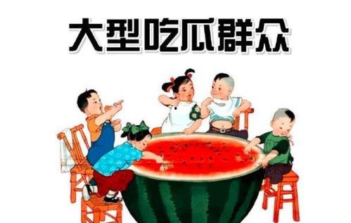 小葵吃瓜群众