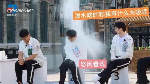 小葵吃瓜群众