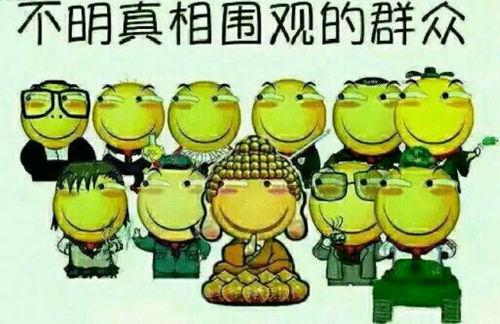 小葵吃瓜群众