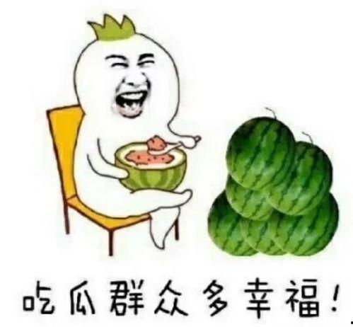 文圈吃瓜,揭秘娱乐圈背后的那些事儿