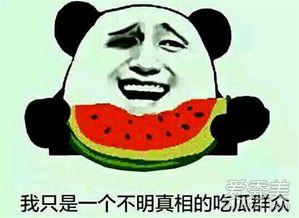 文明吃瓜理性吃瓜的意思
